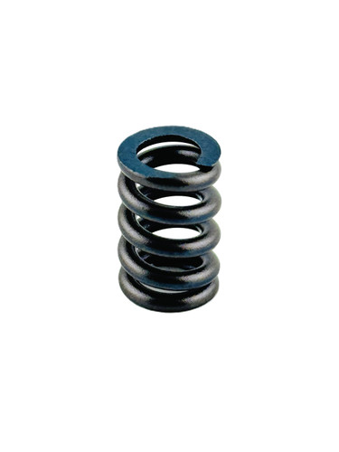 P-29033401669K SPRING