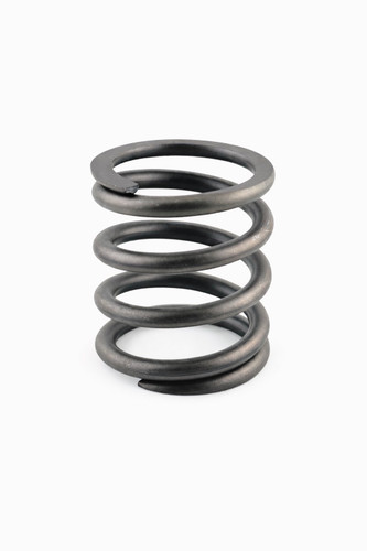 P-37033400481K SPRING, CYLINDER