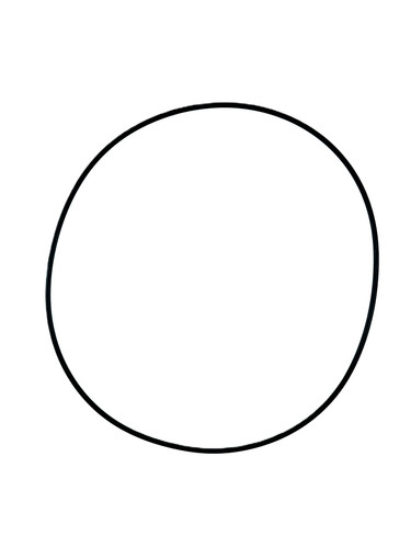 P-PCPP195VKD O-RING