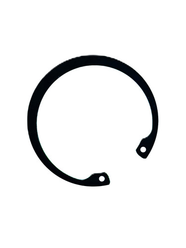 R909831280 RETAINING RING