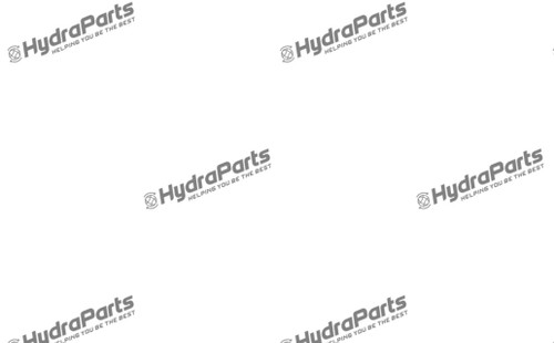 R909156220 Ring Nut