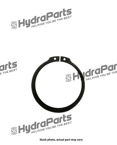 R909084419 Retaining Ring