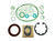 R910941170 - A10VO140 DFLR/3X Seal Kit - Viton