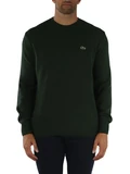 VERDE SCURO | Maglia girocollo in lana Classic Fit