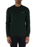 VERDE SCURO | Maglia girocollo in cotone regular fit