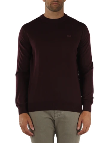 MERLOT | Maglia girocollo in lana regular fit