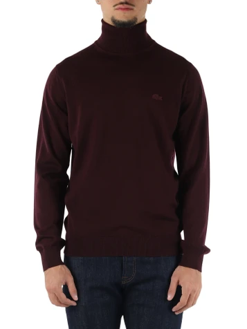 MERLOT | Maglia collo alto in lana regular fit