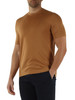 MARRONE CHIARO | Maglia manica corta in cotone ultrafine