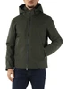 VERDE SCURO | Piumino con cappuccio HERRING 3.0 Soft Shell
