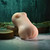Sasha Grey Movie & Realistic Wet N’ Ready Stroker