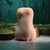 Sasha Grey Movie & Realistic Wet N’ Ready Stroker