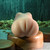 Sasha Grey Movie & Realistic Wet N’ Ready Stroker