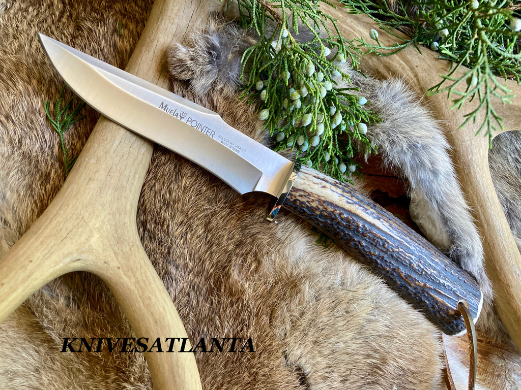 Muela Knives ~ Pointer ~ Stag Hunting Knife