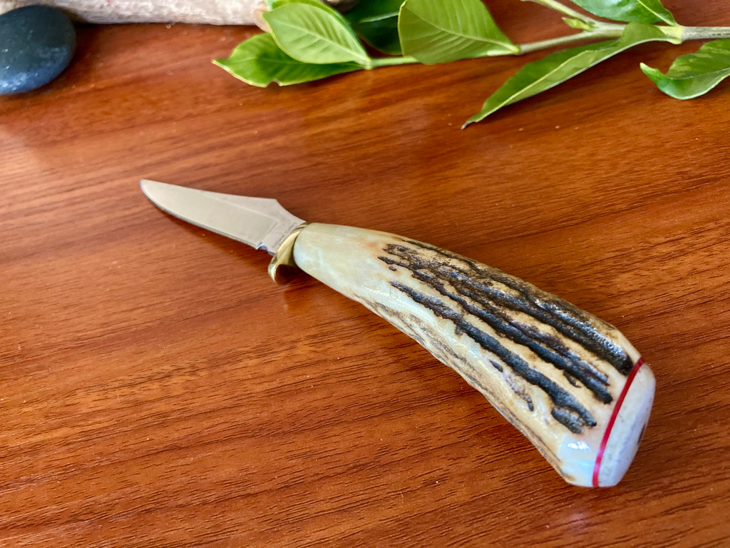 Amherst Cutlery  Stag Small Hunter ~ RARE 