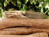 GREY WOLF BLADES HUNTER (1)