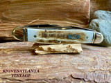 CASE XX 05343 SS ~  ELK HORN MUSKRAT KNIFE ~ Vintage