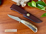 Amherst Cutlery  Stag Small Hunter ~ RARE !