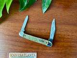 Case 62109X 1889-1989 Centennial Gold Stone Mini Copperhead ~ Vintage