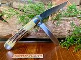 Case 2-Dot Stag Trapper ~ "Red Letter" Series ~ Vintage 1978