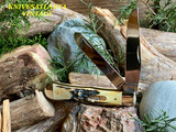 Case Trapper Knife With Genuine Stag Handles  00175