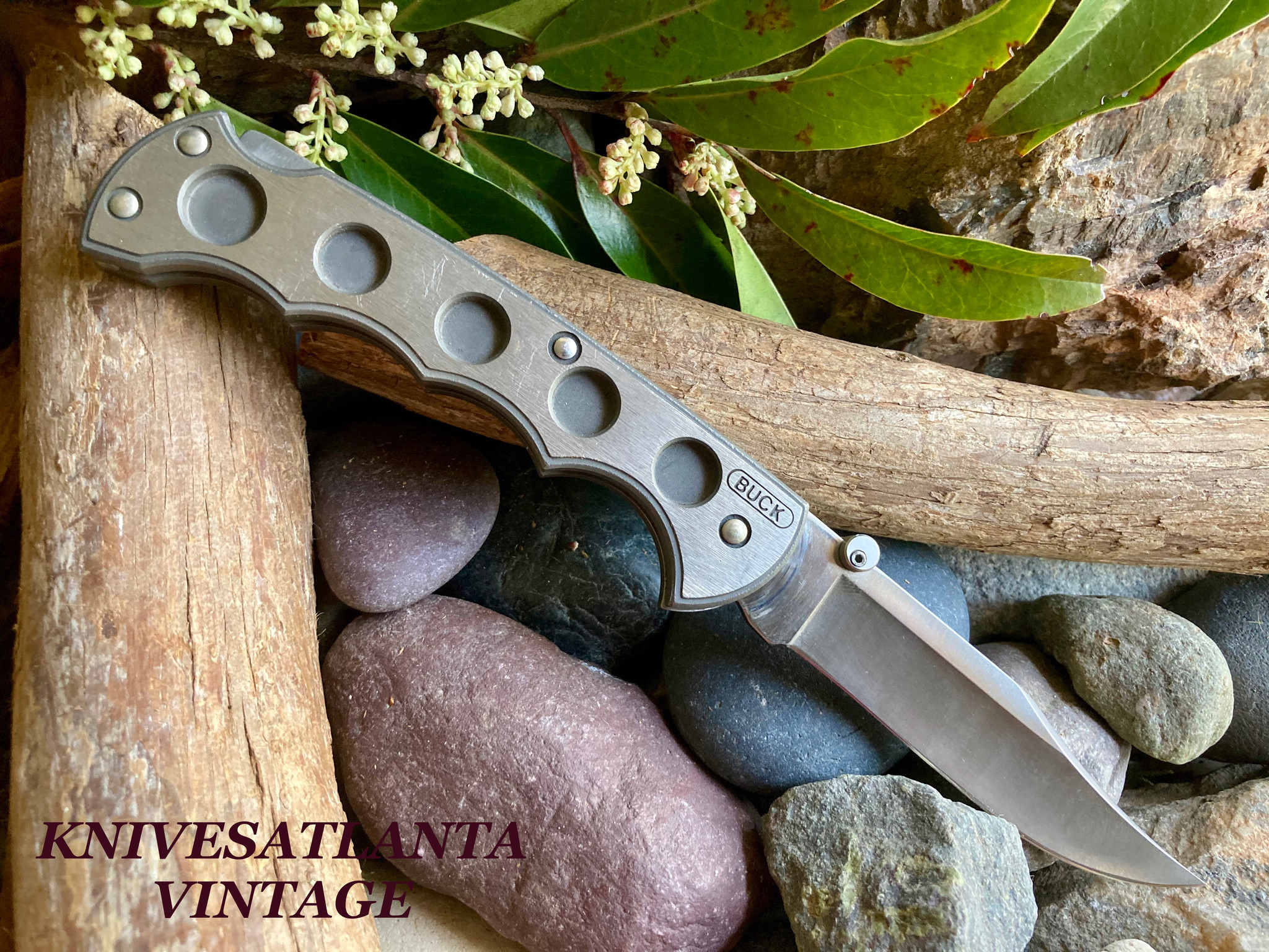 Buck Knives Model 560 Titanium Lockback