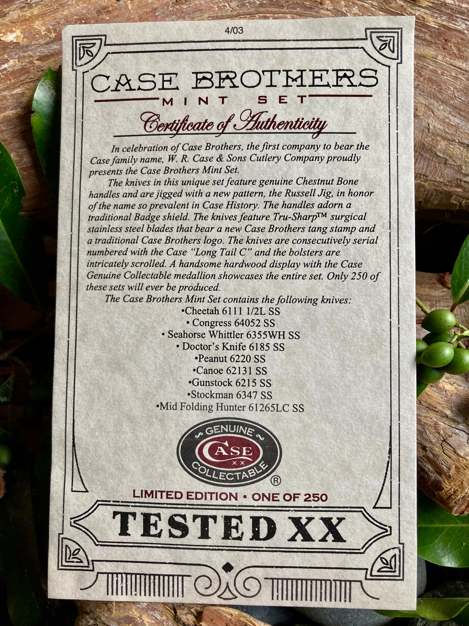 Case Brothers mint set ~ 2003 ~ Chestnut Bone ~ Vintage