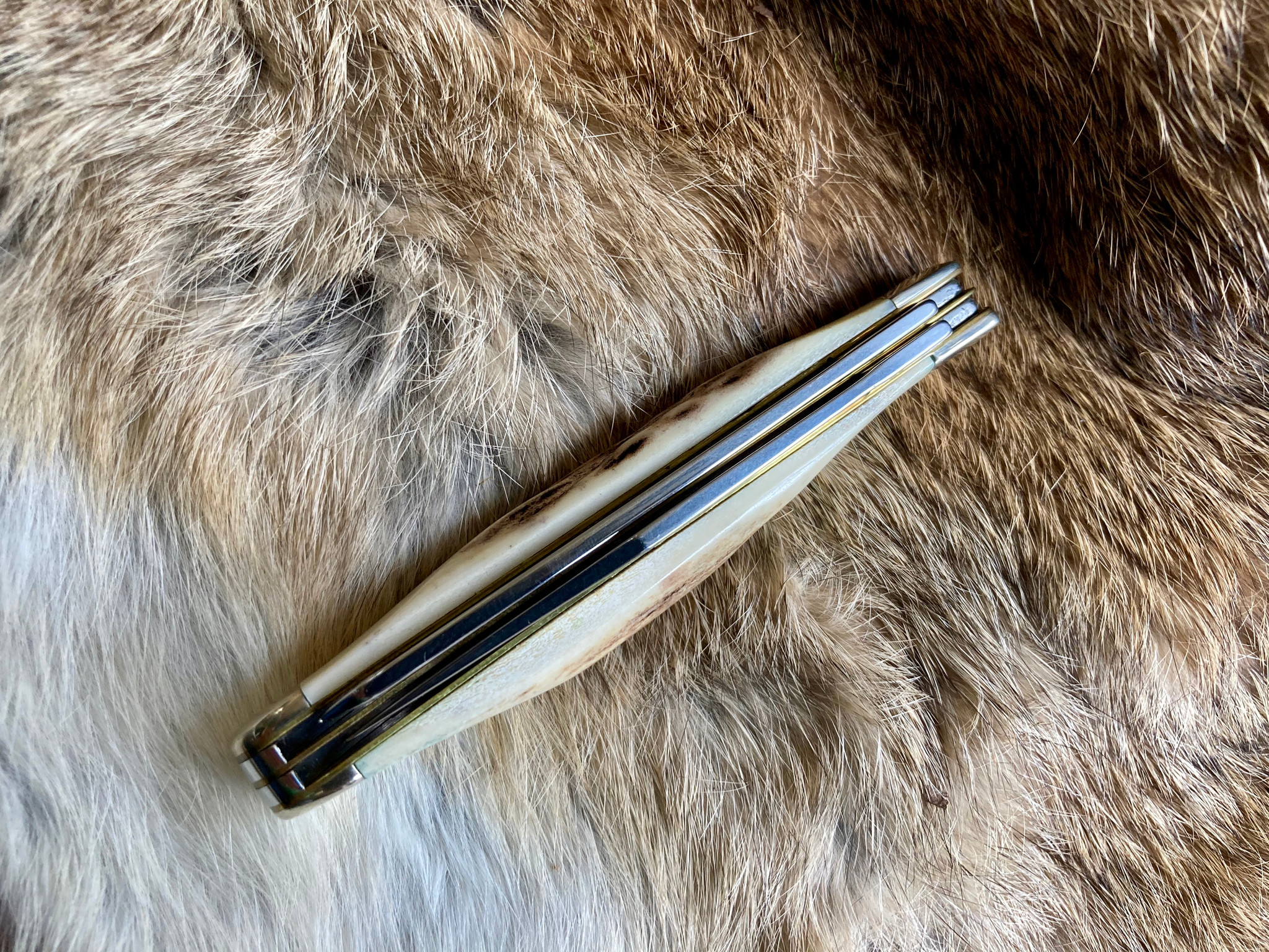 Case XX USA 1999 Vintage Stag V52048 SS Slimline Trapper