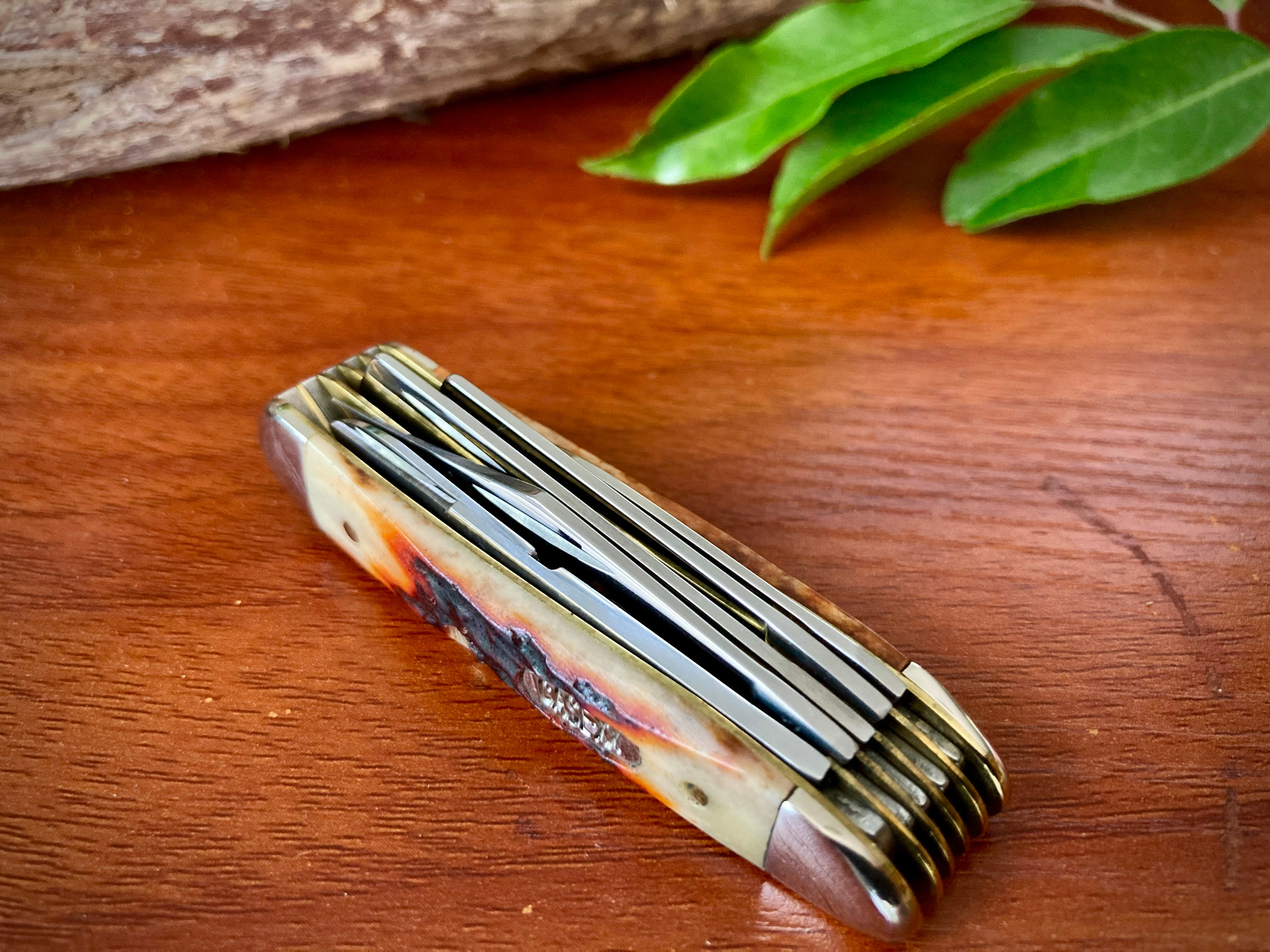 Case XX USA 3 Dot (1997) Red Stag R5520 SS 5 Blade Peanut Knife
