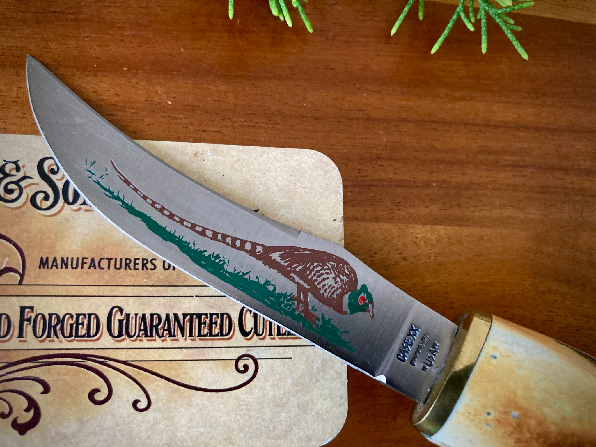 *VINTAGE ナイフ CASE   STAG HUNTER 523 4119 Vintage Case XX 523-3 1/4 SSP Small Game Knife. w/Sheath