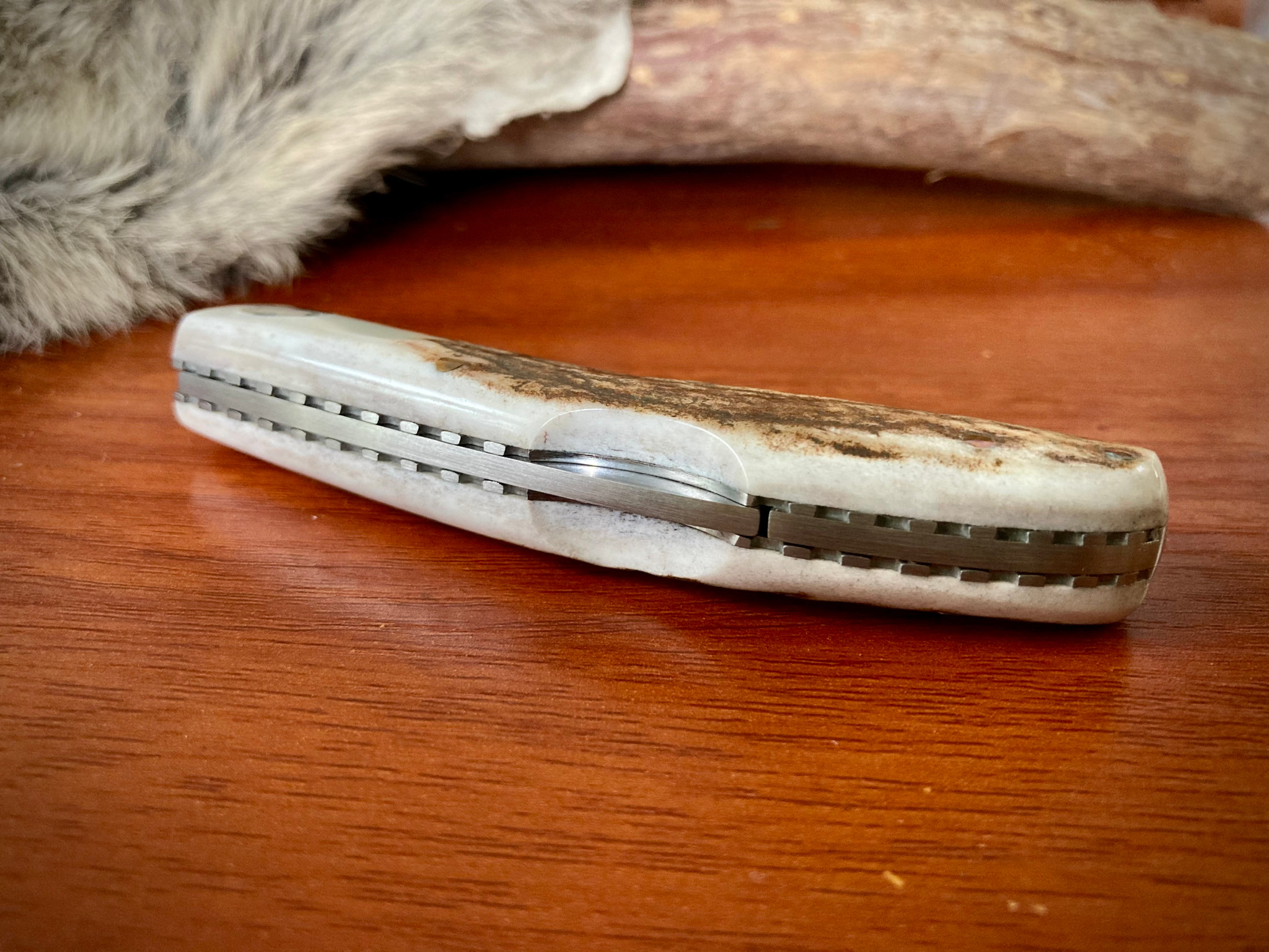 Puma IP Paloma Lockback Pocket Knife 4