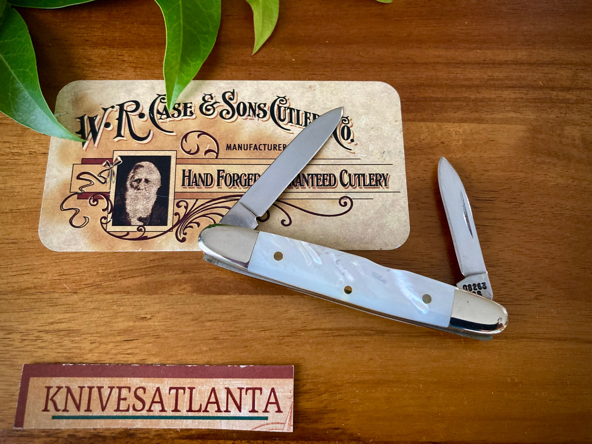 CASE XX MOTHER OF PEARL ~ EISENHOWER PEN KNIFE ~ Vintage 1996