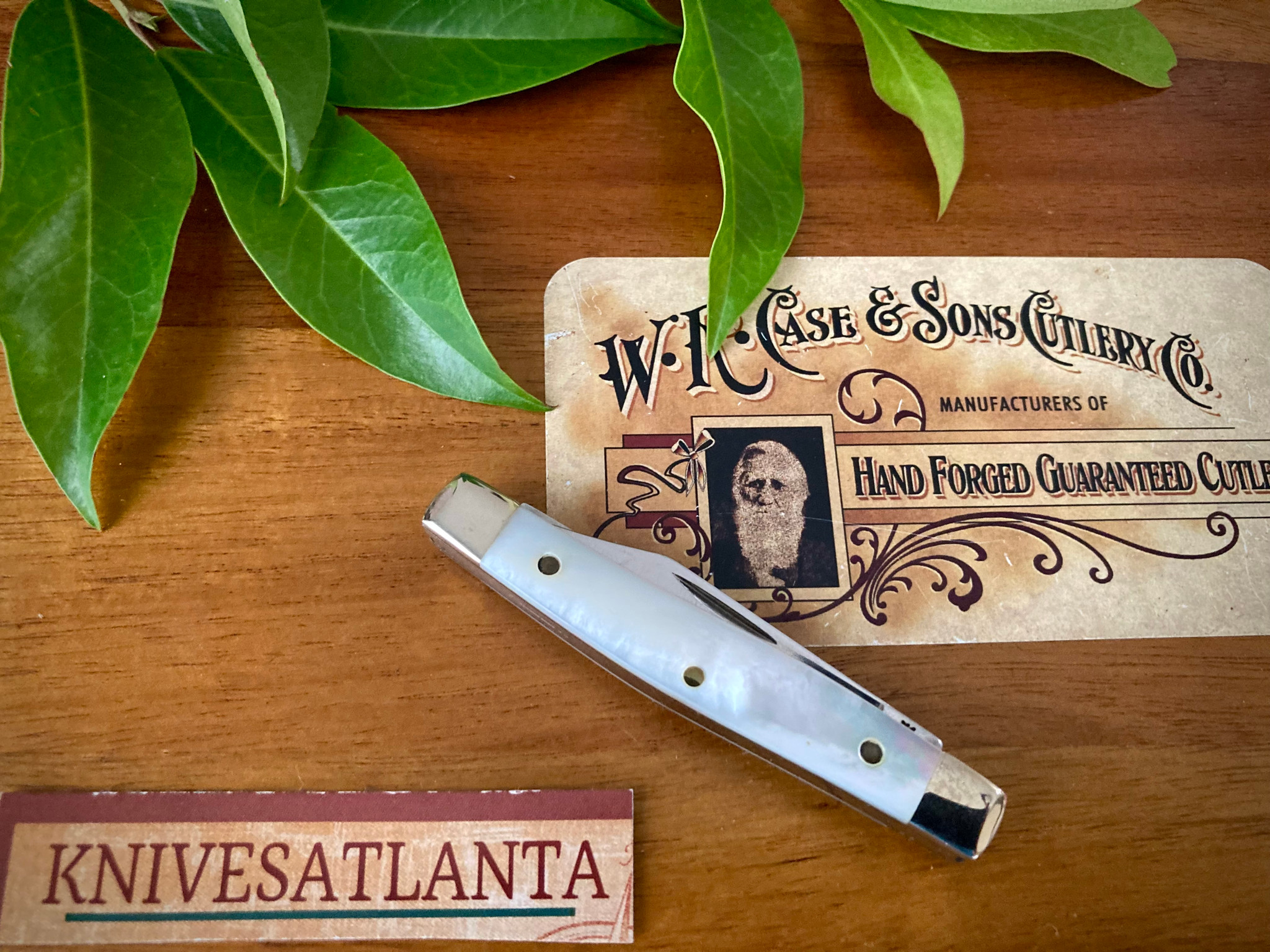 CASE XX MOTHER OF PEARL PEN KNIFE ~ SCISSORS ~ Vintage 1995
