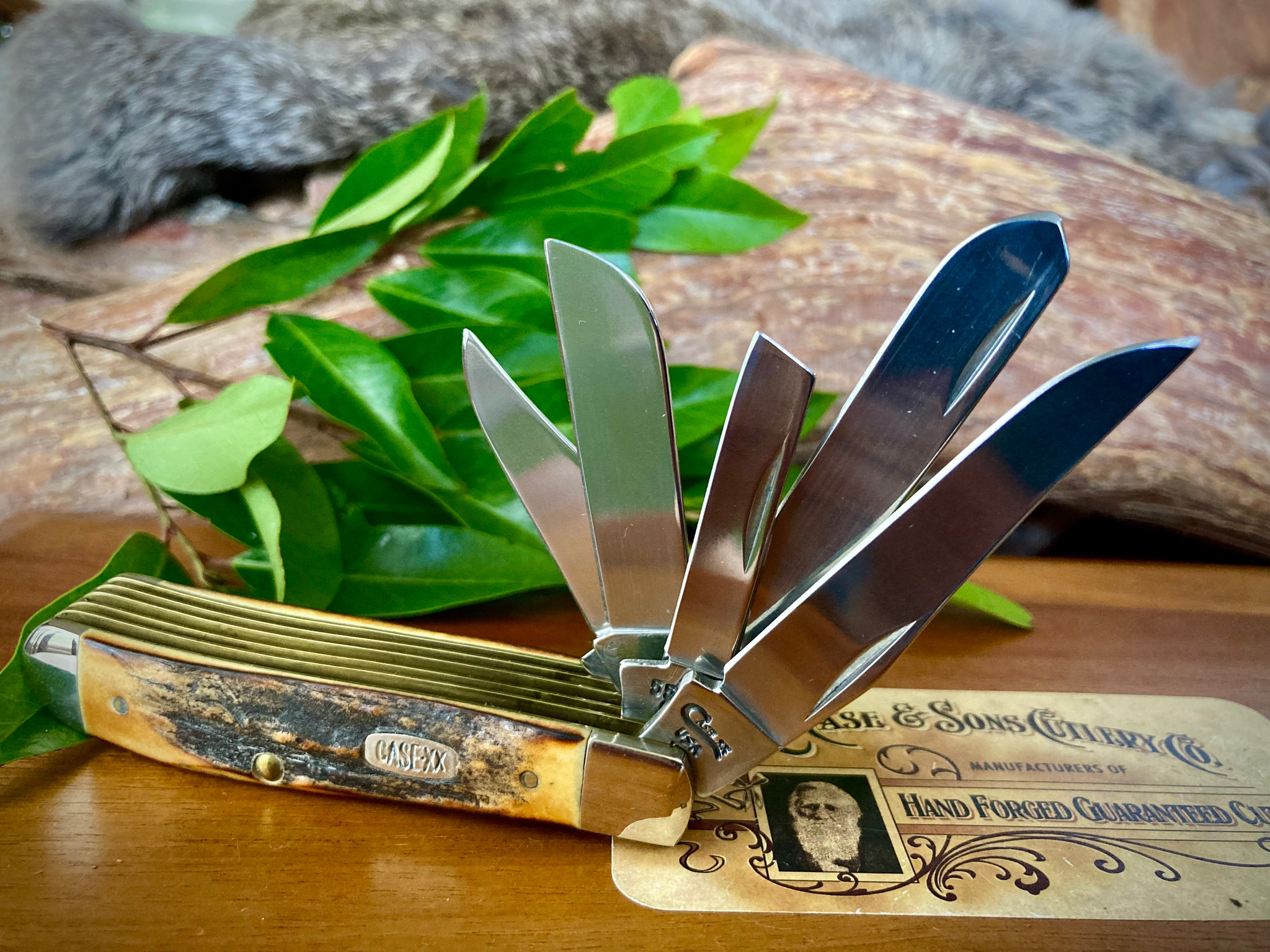 CASE XX MINI TRAPPER BEAST ~ 5 Blade ~ Vintage 1996