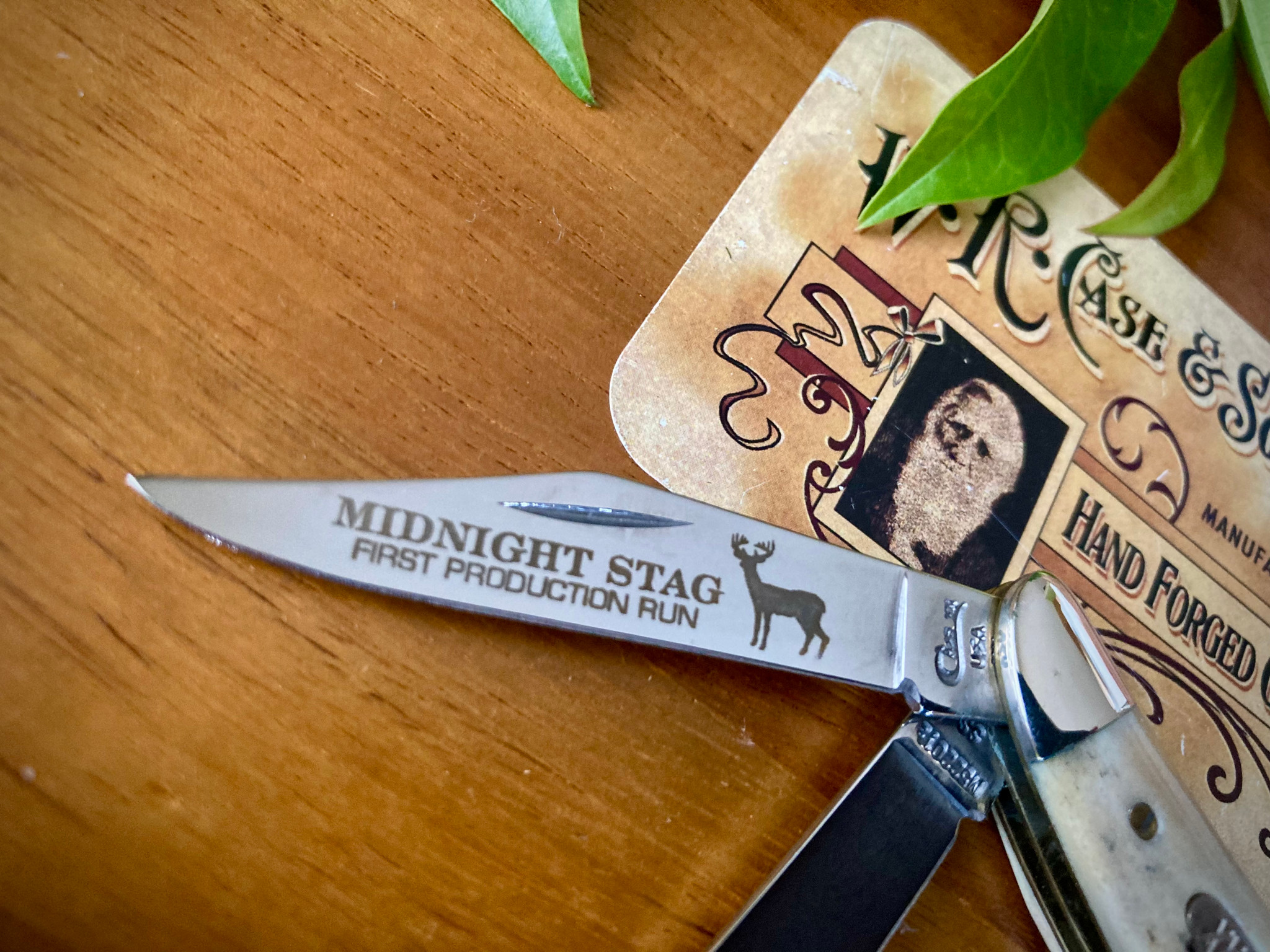 Case Trapper Nut Knife 02170 - Midnight Stag - First Production Run -