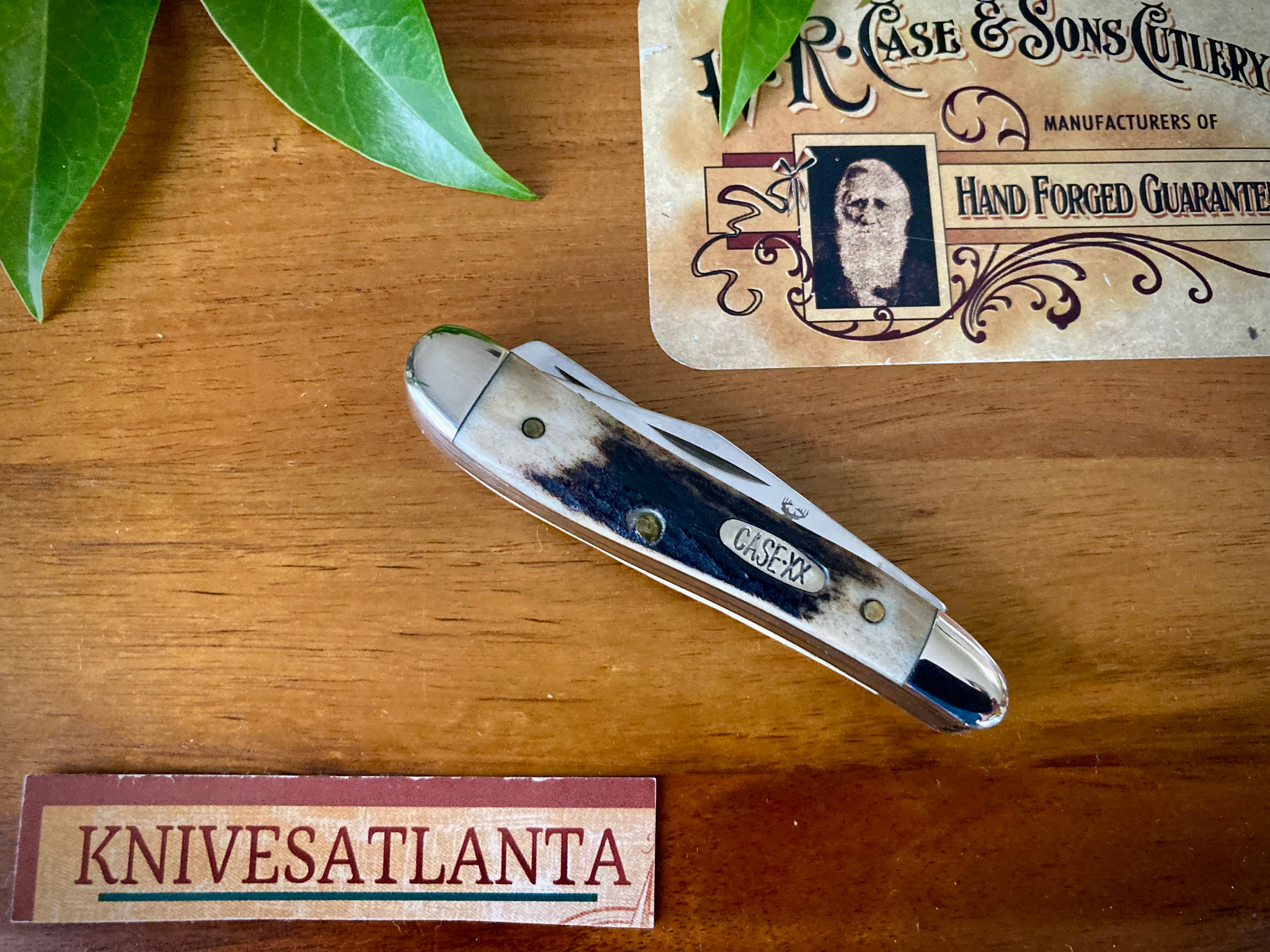 Case Trapper Nut Knife 02170 - Midnight Stag - First Production Run -