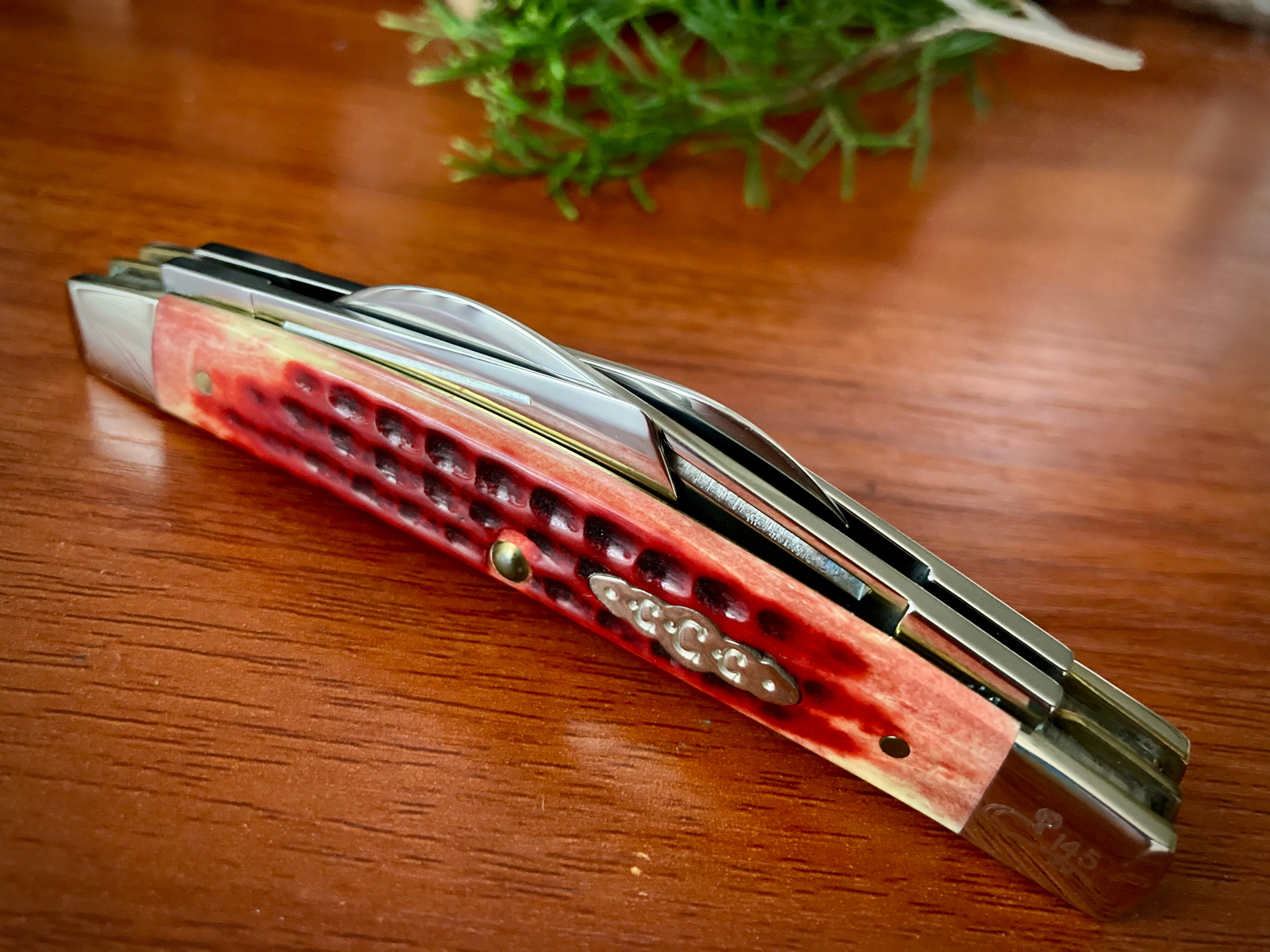 Case XX Old Red Bone 6488 SS ~ Case Collectors Club Large Congress 
