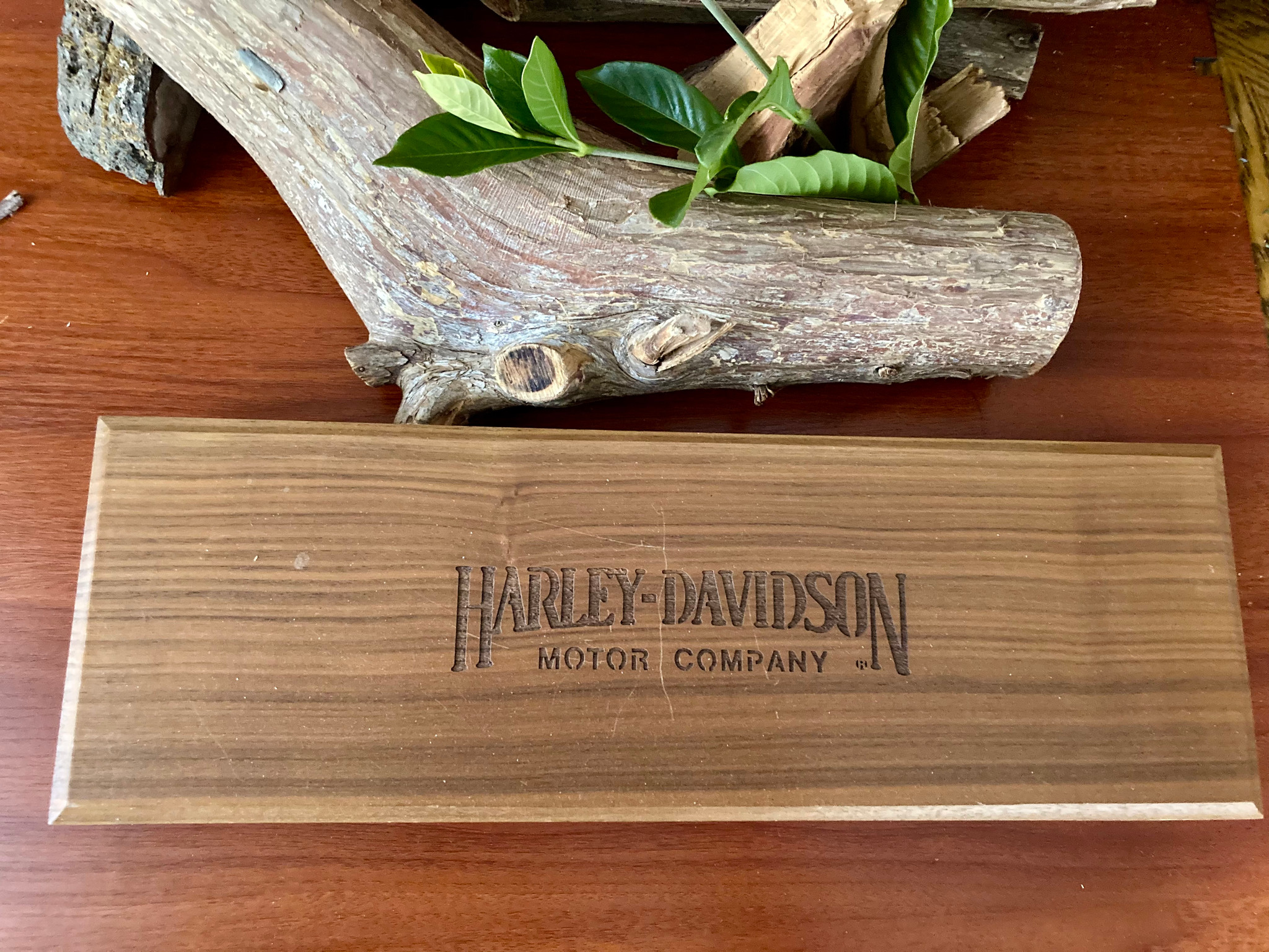 Buck Custom Harley-Davidson Stag Dagger ~ 50th Anniversary of the
