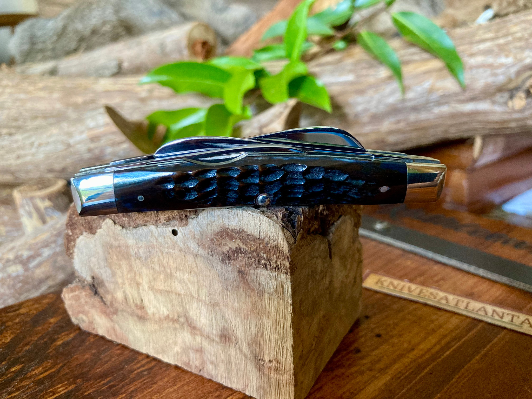 Case XX 64052 4-Blade Medium Congress 
