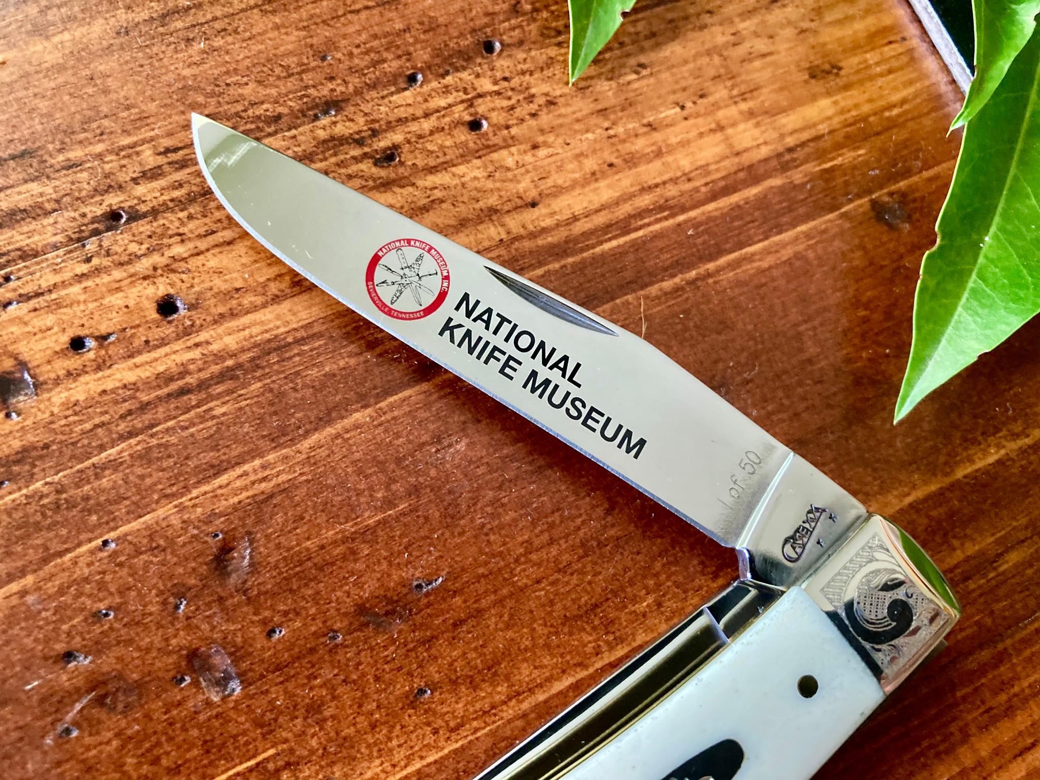 Case XX Trapper 6254 National Knife Museum ~ Vintage 2008 ~ Rare