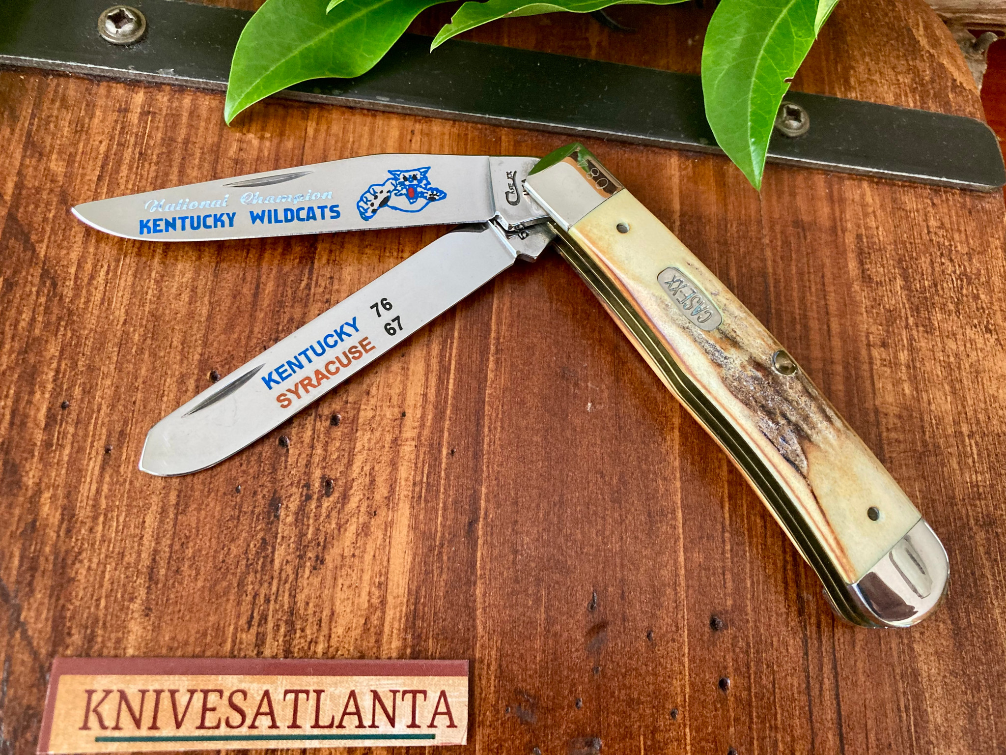 Case XX Stag Trapper Commemorative ~ University of Kentucky