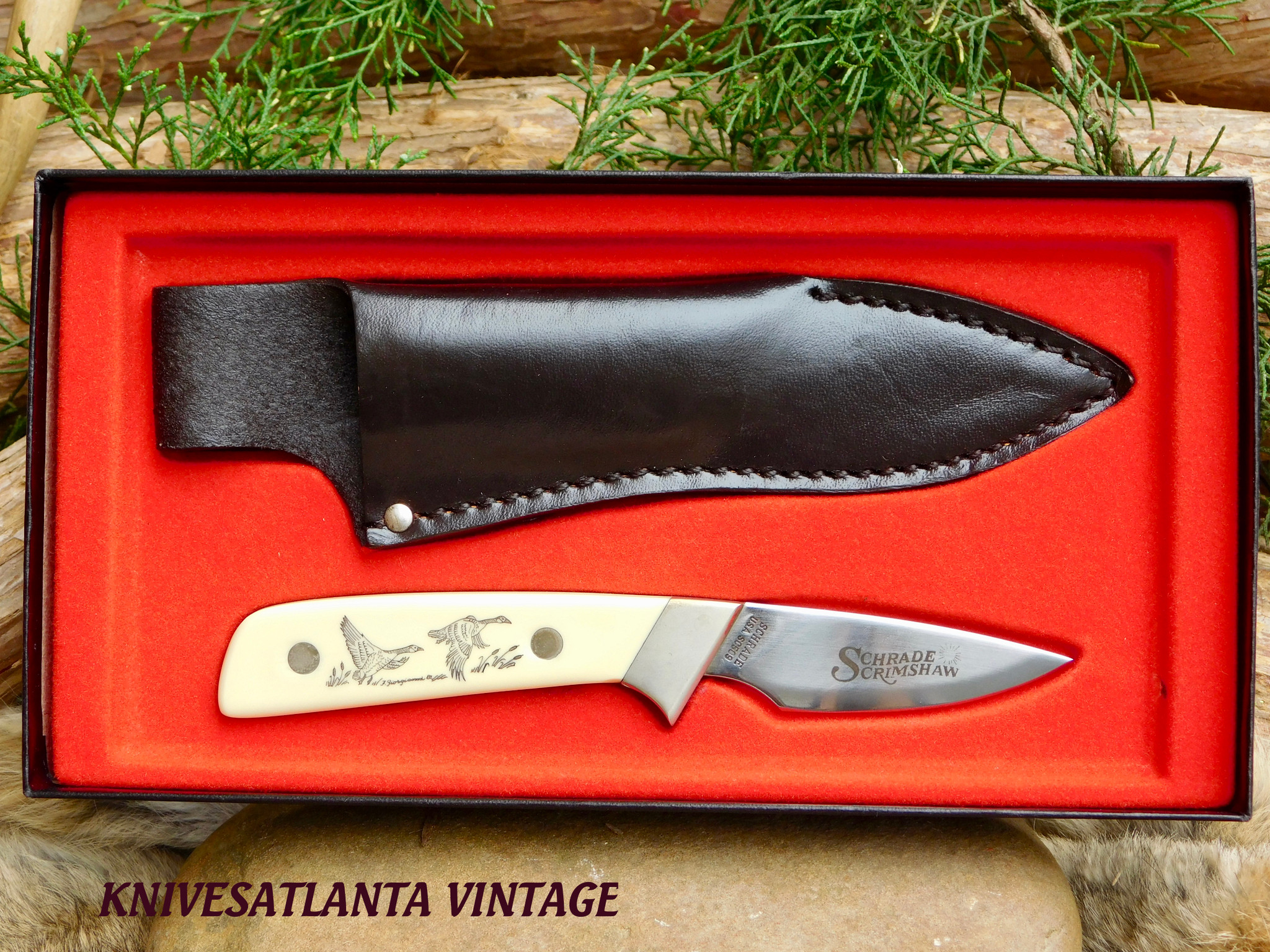 さ*な様 Ex Short Sleeve Cut Sewn APPLE SCRU Schrade Cutlery SC509 Scrimshaw Hunter - KnivesAtlanta
