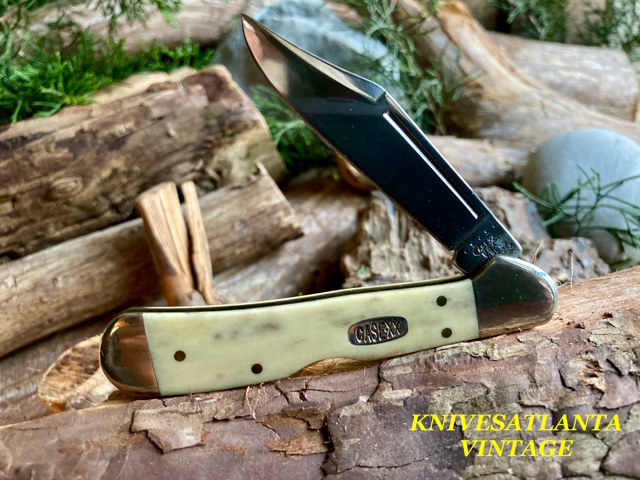 Case Chestnut Appaloosa Copperlock 02370