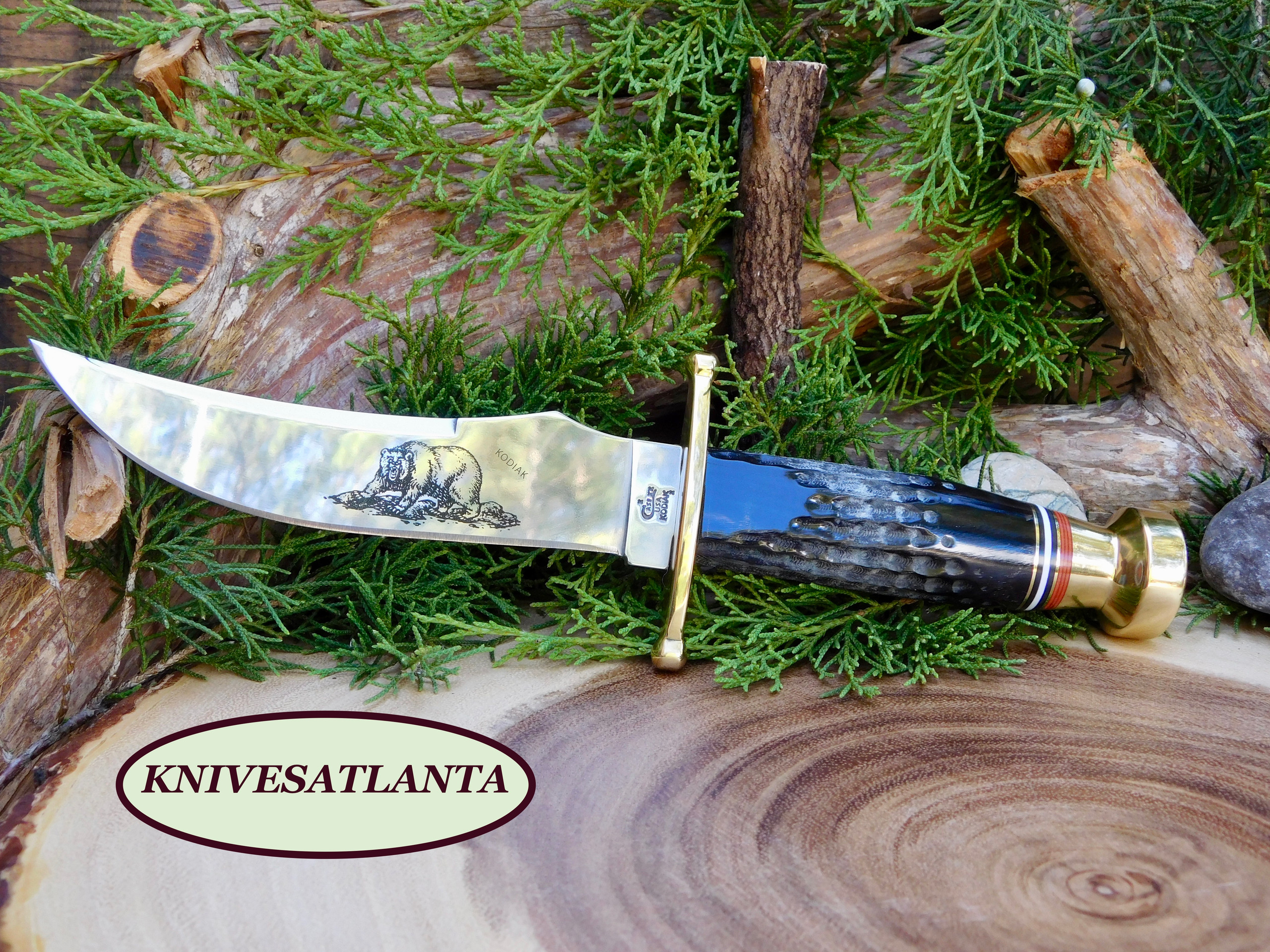 Case Buffalo Horn Kodiak Hunter® with Leather Sheath KnivesAtlanta