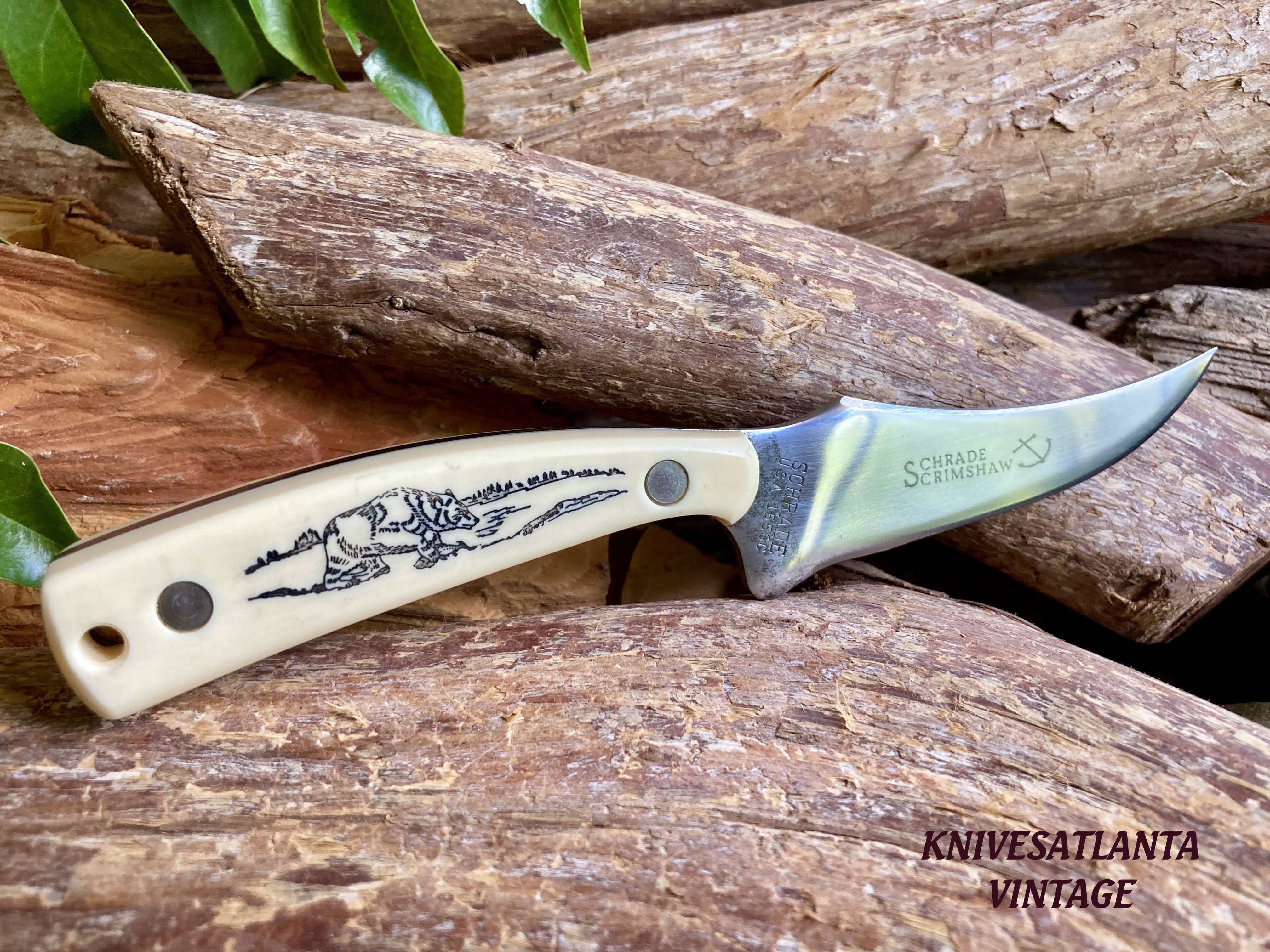 Schrade USA 155SC Bear Scrimshaw Sharp Finger Hunting Knife ~ Vintage