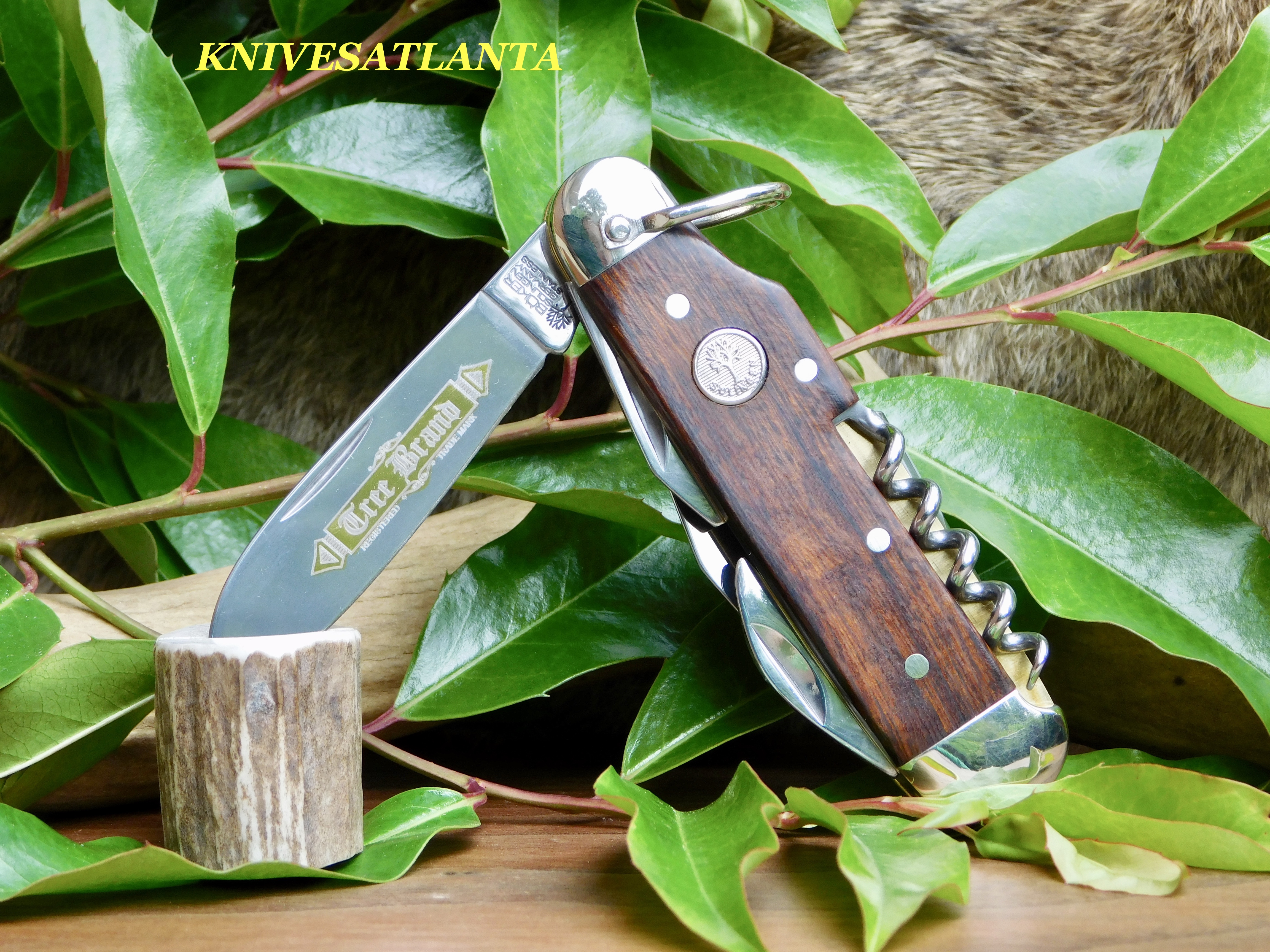 Boker Scout (Camp) Knife