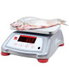 Ohaus Valor 4000 Scales for Weighing Fish