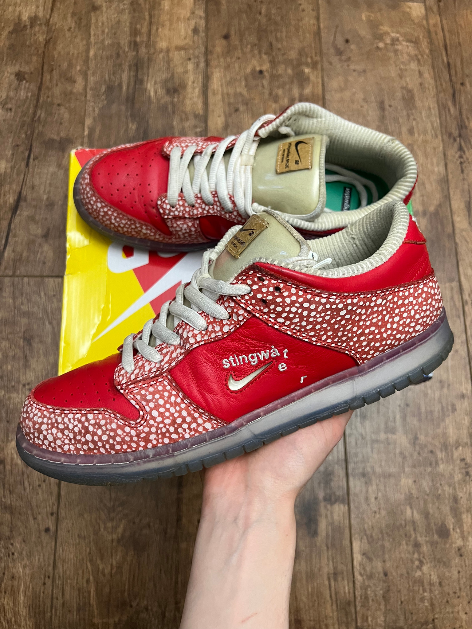 Nike SB Dunk Stingwater (UK 9.5)