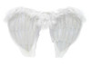 Child Angel Wings 4620