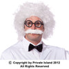 Einstein Wig and Mustache 6021