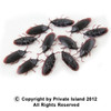 Fake Roaches 12 PACK 9026